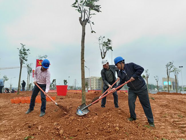 植樹(shù)活動(dòng)現(xiàn)場(chǎng)（修圖）.jpg